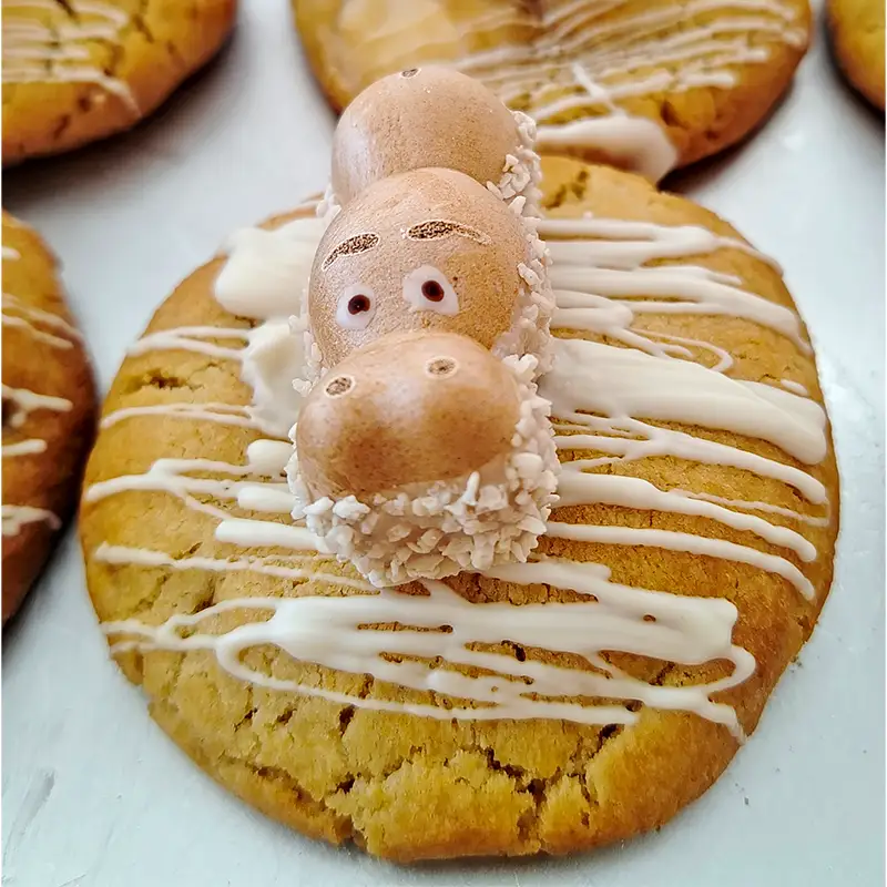 Cookie & Co